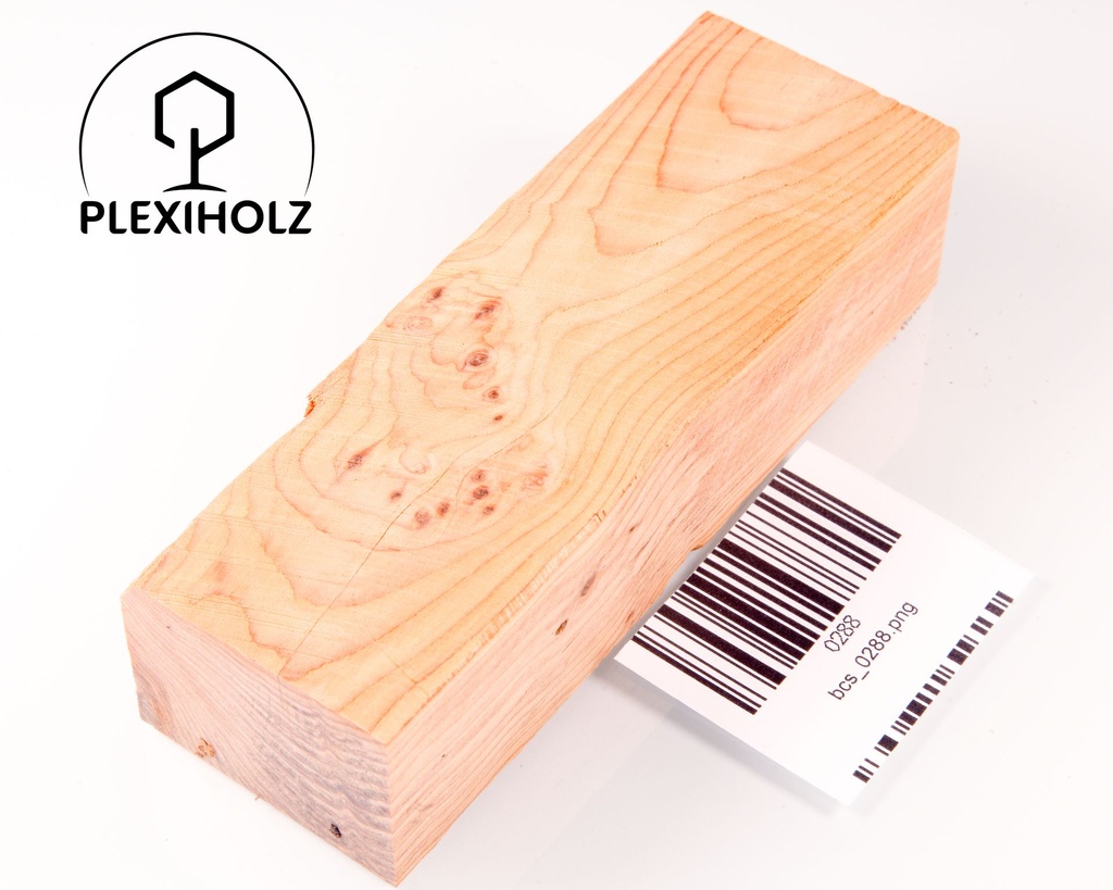 Thuja Maser Griffblock stabilisiert | 120x40x30 | plexiholz | burl handle | 0288