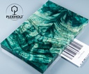 www.plexiholz.com