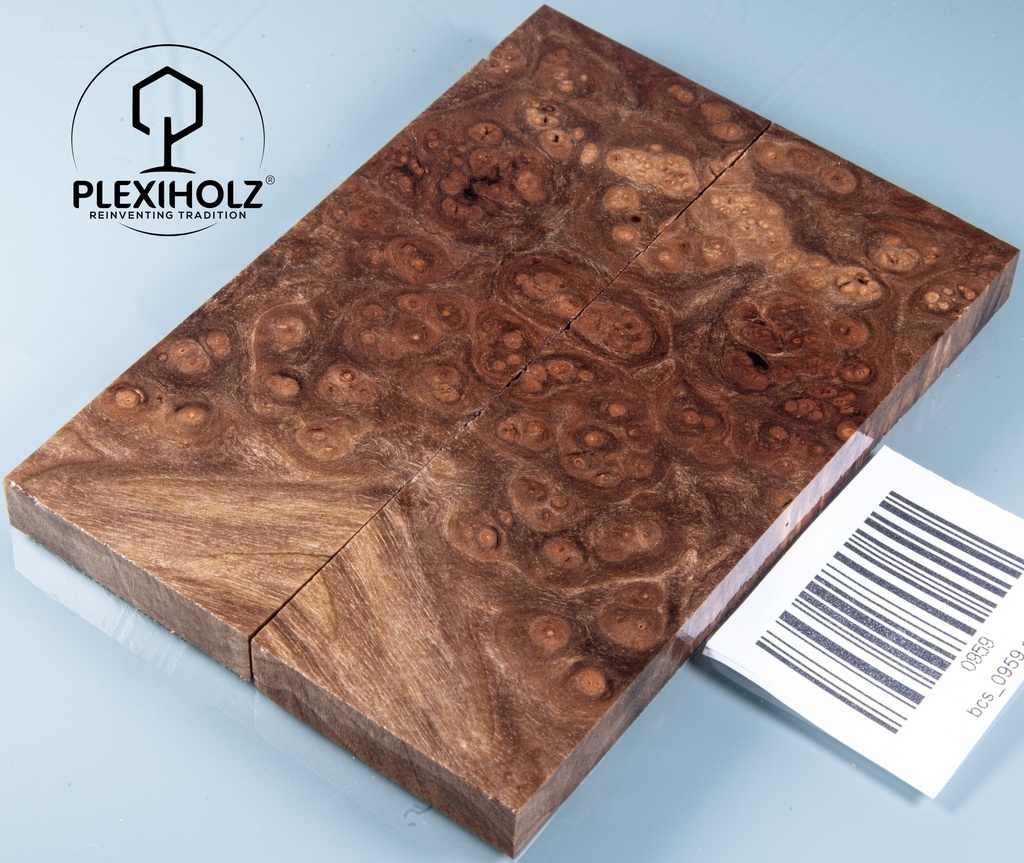 www.plexiholz.com