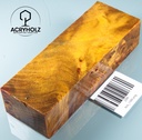 www.plexiholz.com