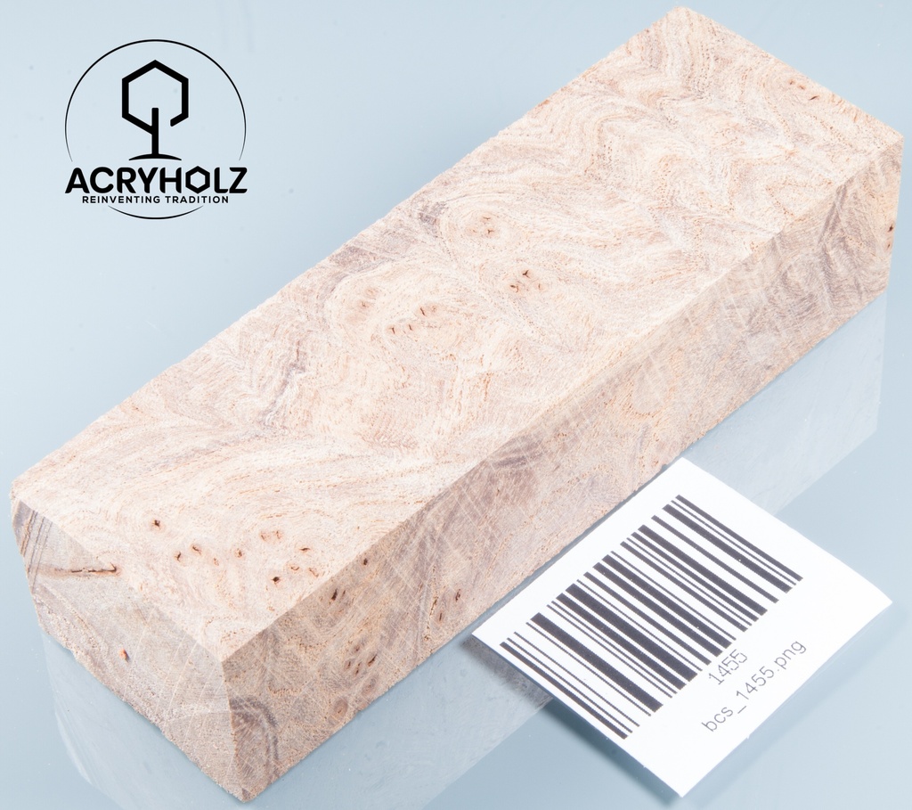 Esche Maser Griffblock stabilisiert | 140x40x30 | plexiholz | 0328