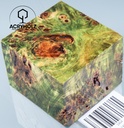 www.plexiholz.com