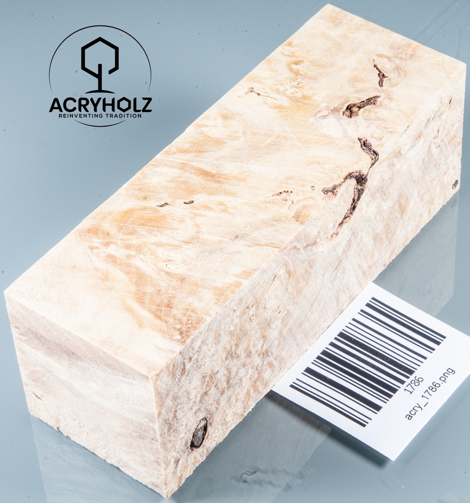 Esche Maser Griffblock stabilisiert | 140x40x30 | plexiholz | 0328