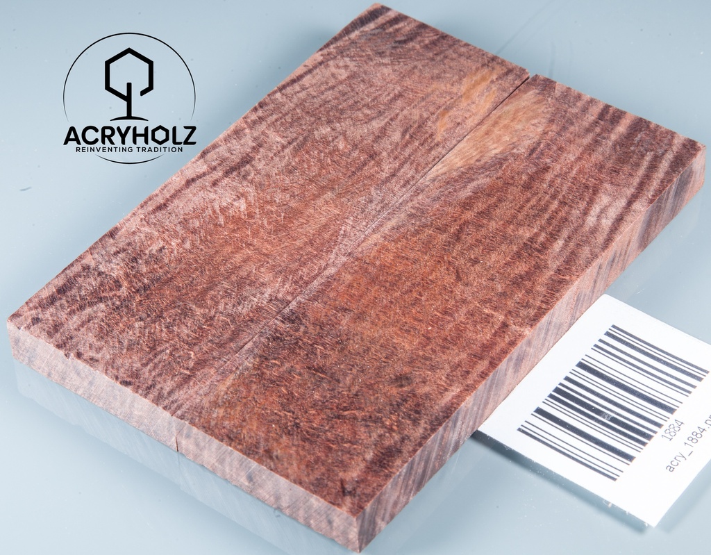 Kastanie Maser stabilisiert | 120x40x10 | plexiholz | buckeye schalenpaar 0713