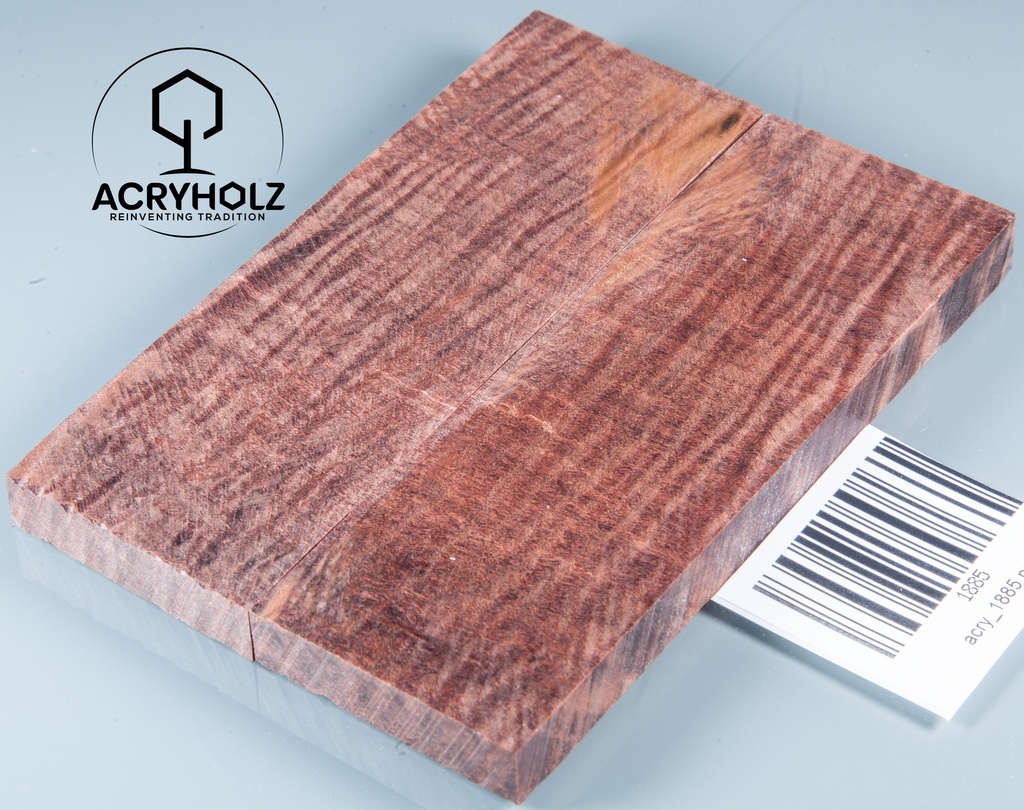 Kastanie Maser stabilisiert | 120x40x10 | plexiholz | buckeye schalenpaar 0713