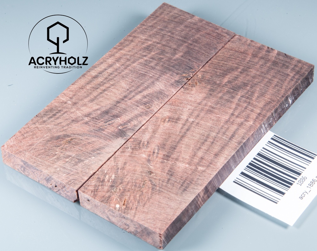 Kastanie Maser stabilisiert | 120x40x10 | plexiholz | buckeye schalenpaar 0713