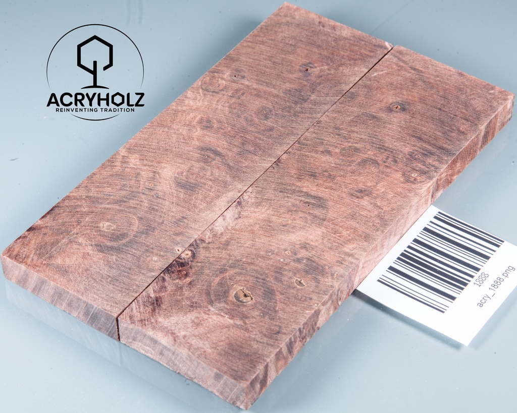 Kastanie Maser stabilisiert | 120x40x10 | plexiholz | buckeye schalenpaar 0713