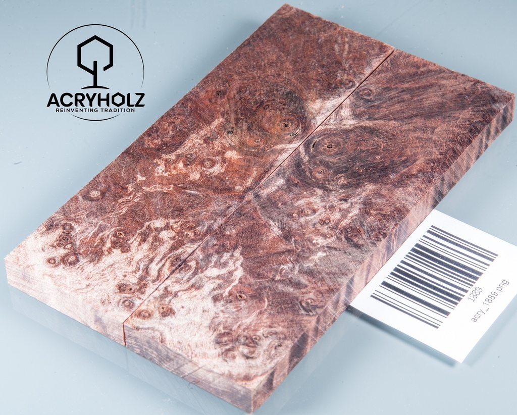Kastanie Maser stabilisiert | 120x40x10 | plexiholz | buckeye schalenpaar 0713