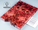 www.plexiholz.com