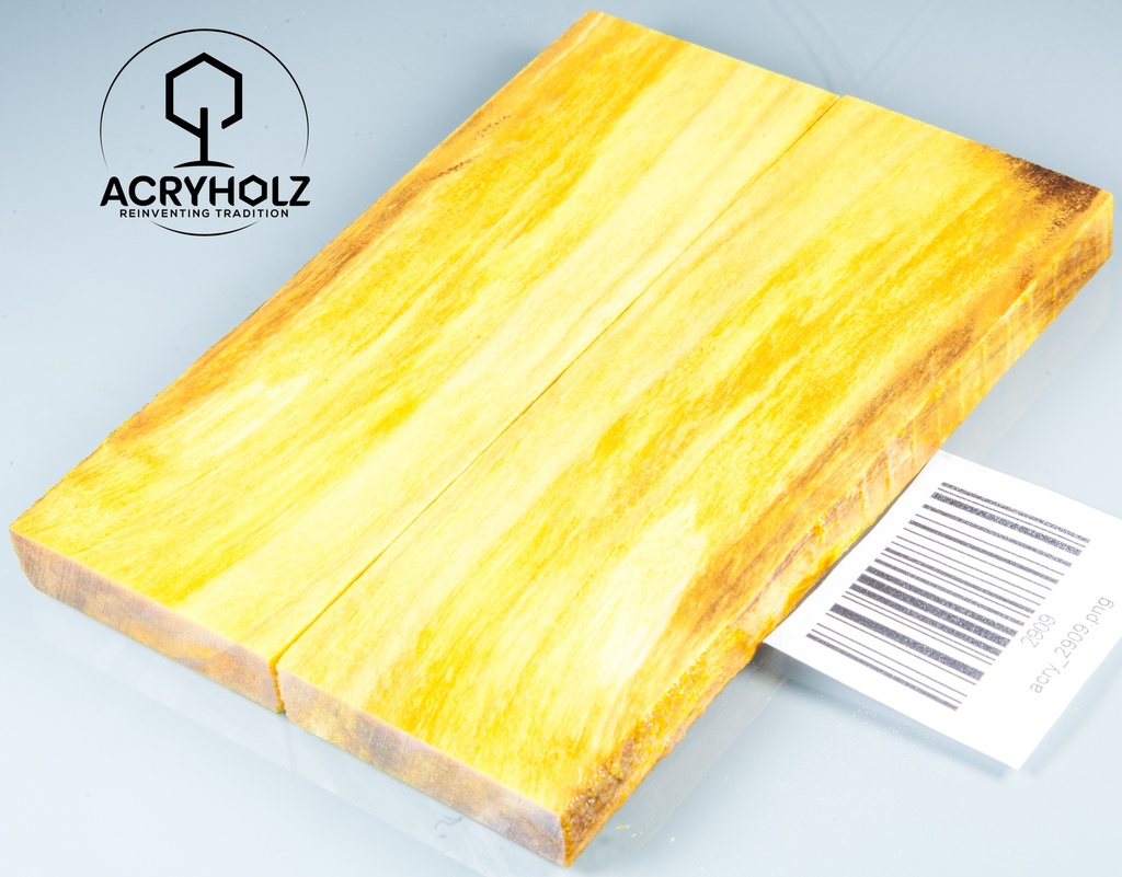 www.acryholz.com
