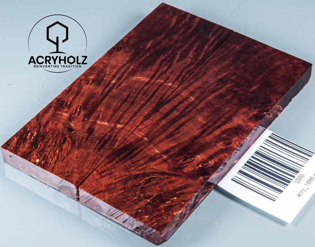 Kastanie Maser stabilisiert | 120x40x10 | acryholz | schalenpaar 1886
