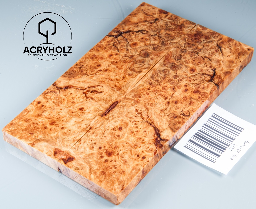 Linde Maser stabilisiert | 150x40x8 | acryholz | schalenpaar 2214