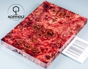 Pappel Griffschalen stabilisiert | 120x40x10| ACRYHOLZ | Messer | Griffholz 2779