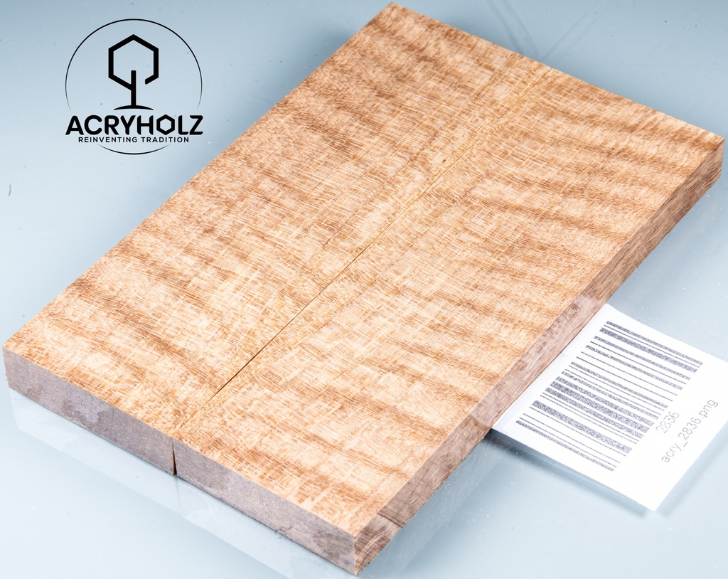 Walnuss Griffschalen geriegelt stabilisiert | 130x40x10 | acryholz | 2836