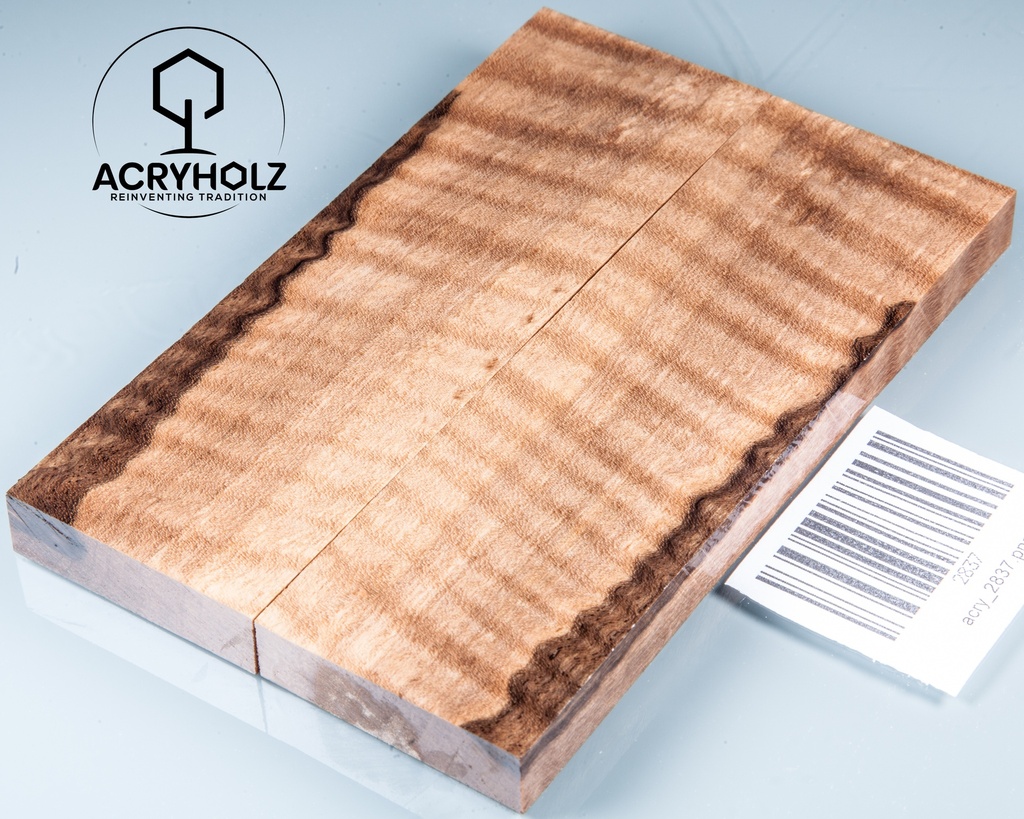 Walnuss Griffschalen geriegelt stabilisiert | 130x40x10 | acryholz | 2837