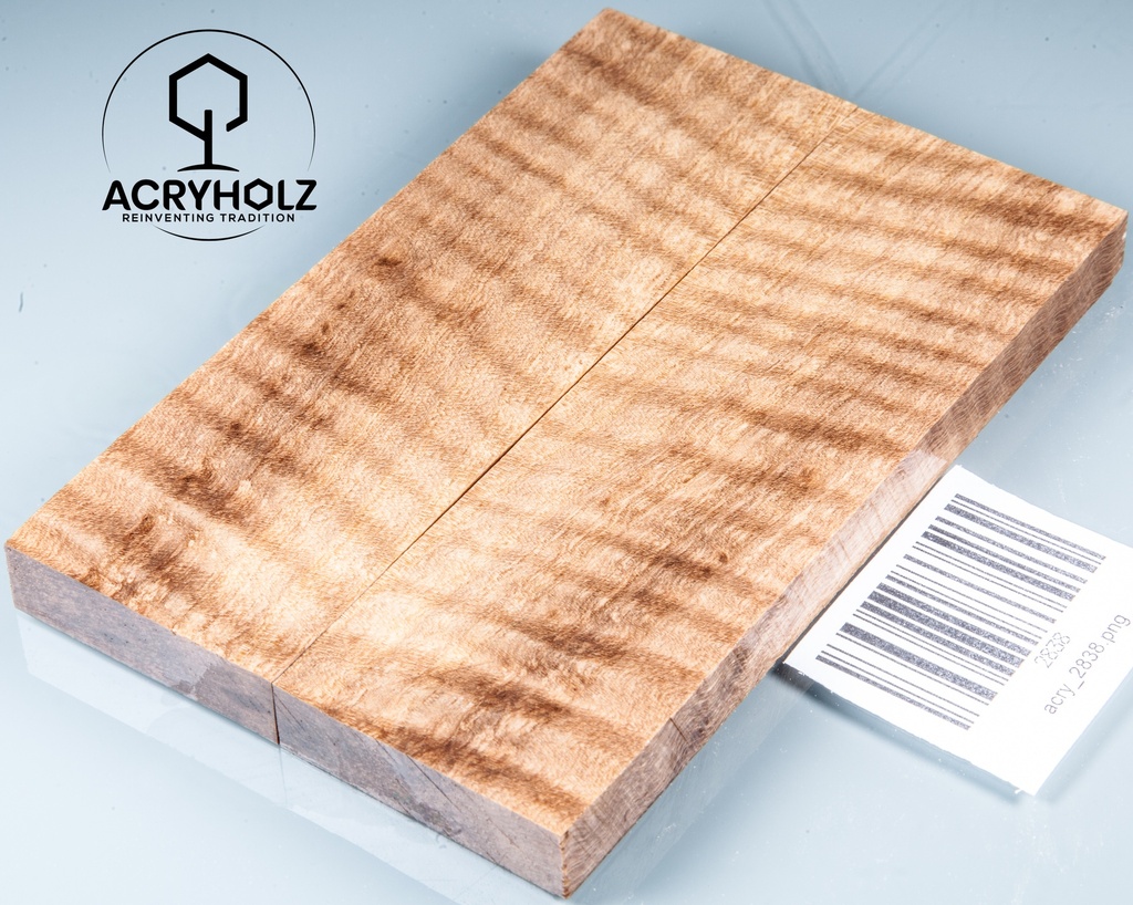 Walnuss Griffschalen geriegelt stabilisiert | 130x40x10 | acryholz | 2838