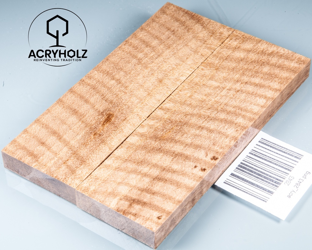 Walnuss Griffschalen geriegelt stabilisiert | 130x40x10 | acryholz | 2843