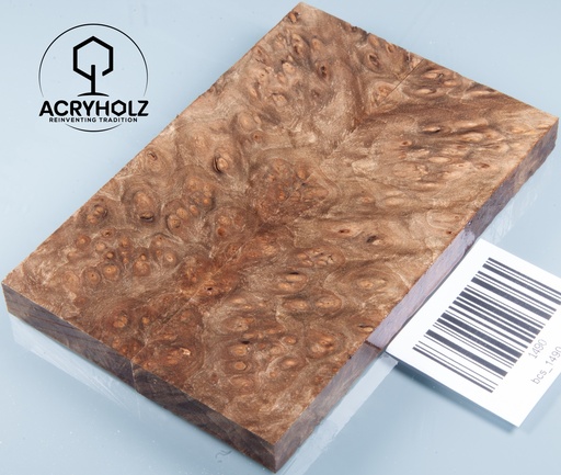 [1490] Walnuss Maser | 120x40x10 | acryholz | Griffschalen stabilisiert 1490