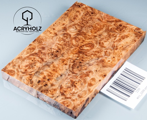 [2209] Linde Maser stabilisiert | 120x40x10 | acryholz | schalenpaar 2209