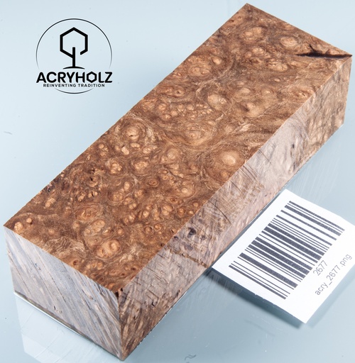 [2677] Walnuss Maser Griffblock stabilisiert | 120x40x30 | acryholz | 2677